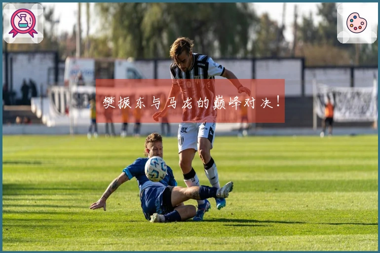 樊振东与马龙的巅峰对决！